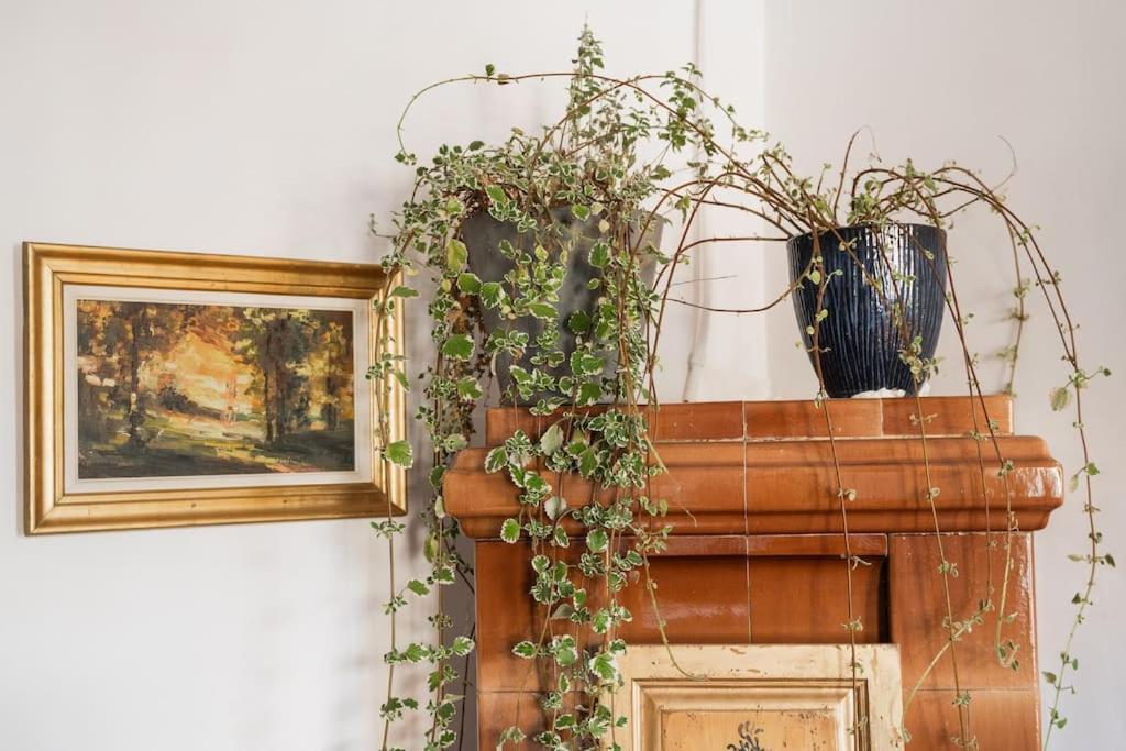 Theatre Art Residence براشوف المظهر الخارجي الصورة