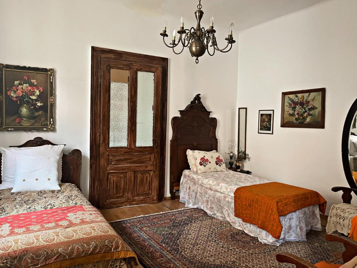 Theatre Art Residence براشوف المظهر الخارجي الصورة